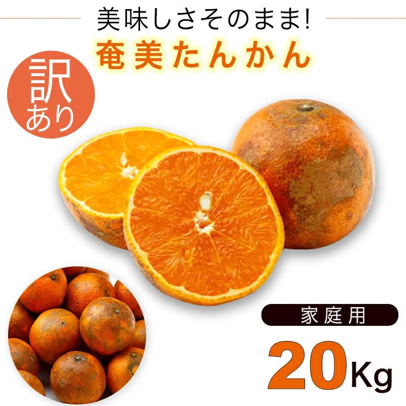ミニミニたんかん♡2S〜Sサイズ　 MIX 20キロ 鹿児島県徳之島産　無選別 徳之島産 タンカン 20キロ