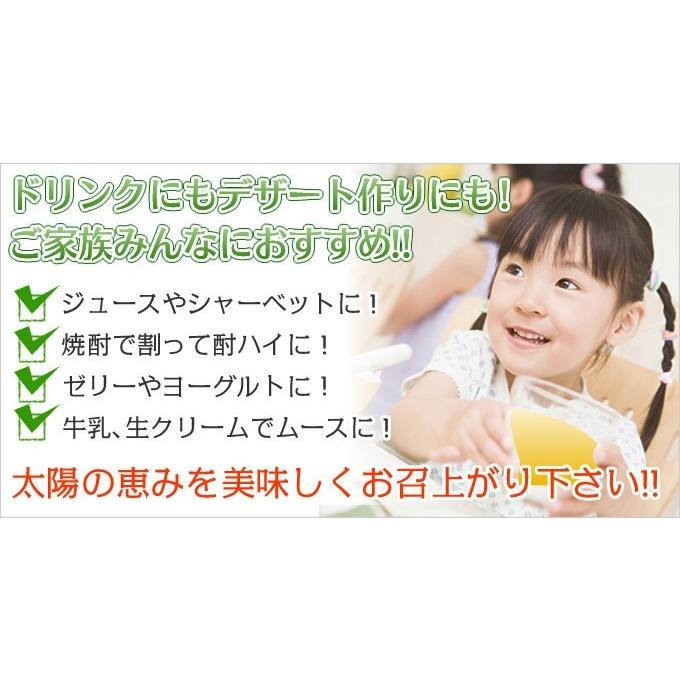 パッションフルーツ5kg 贈答用 パッションフルーツ5kg 時計草 奄美大島 パッションフルーツ 時計草 約5kg