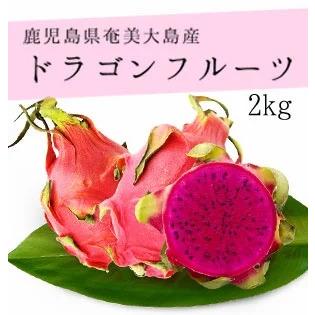 奄美の完熟ドラゴンフルーツ 2 Kg 5 6玉 奄美自社農園産 南国