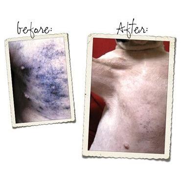 プロバイオCaプラス：ペットの口臭・体臭・便臭、アトピー、アレルギー