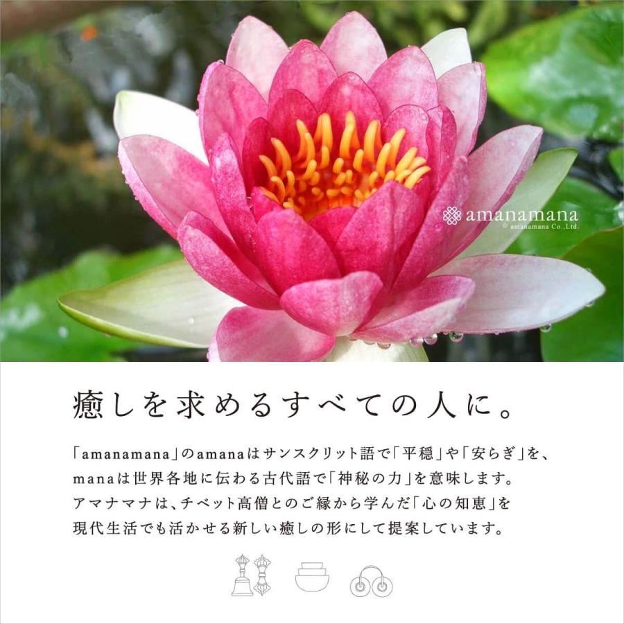 amanamana（アマナマナ） ティンシャ 龍 龍神 ドラゴン ヨガ 浄化 瞑想