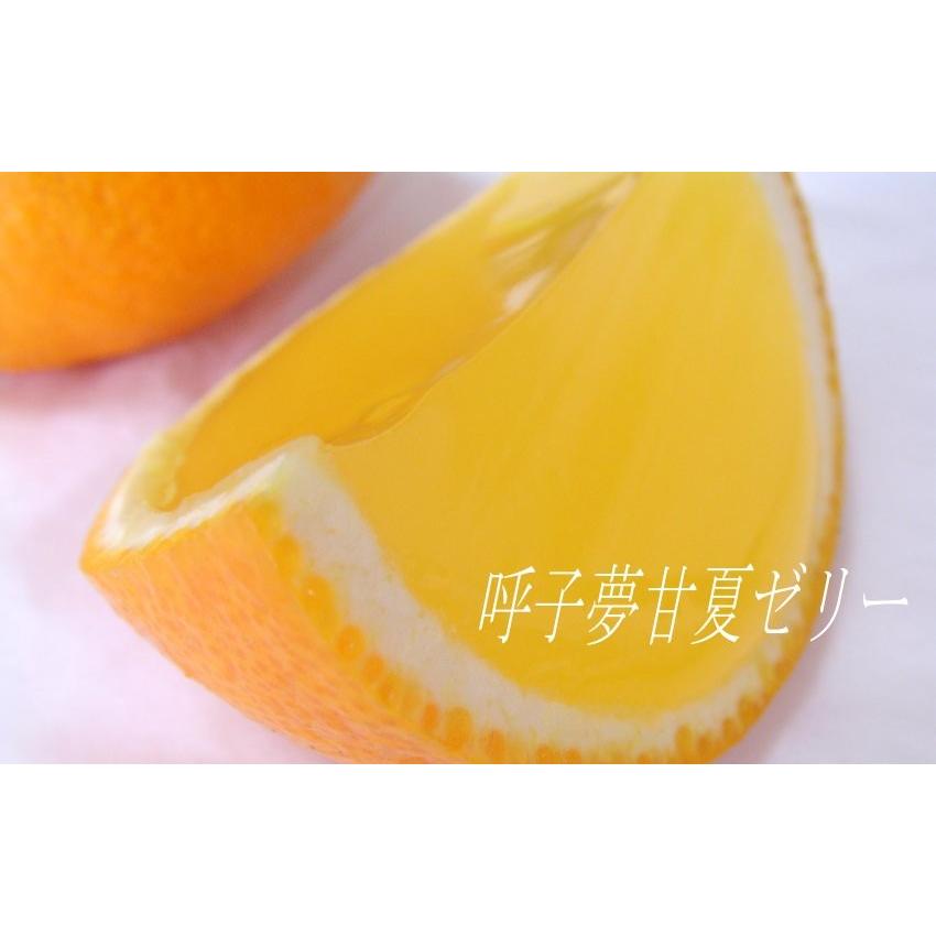呼子夢甘夏ゼリー 2L 6個入 佐賀県唐津・呼子甘夏かあちゃん : 呼子