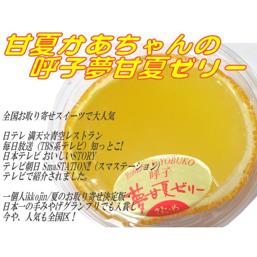 呼子夢甘夏ゼリー 2L 6個入 佐賀県唐津・呼子甘夏かあちゃん : 呼子