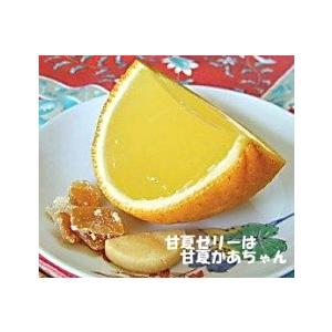 呼子夢甘夏ゼリー M10個入 産地直送 佐賀県唐津・呼子甘夏かあちゃん