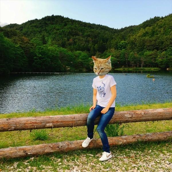 琉球紅型ネコTシャツ　白 ホワイト メンズ　レディース　XS〜Lサイズ　沖縄 和柄 　生成り　かりゆしウェア　半袖　あまねこ オリジナル Tシャツ |  | 02