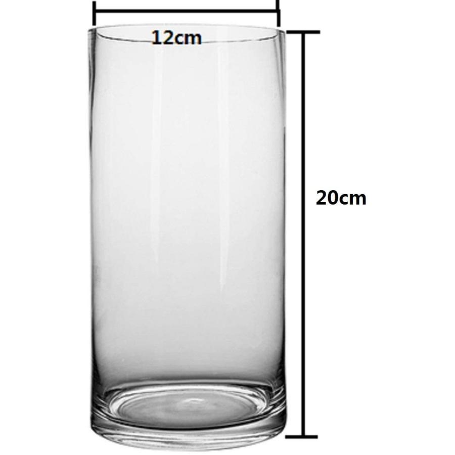 円柱 花瓶 大 フラワーベース ガラス cm ガラスの花瓶 フラワーベース 花器 ガラスベース ガラスボトル アレンジ インテリア 水栽培 生け花 17年秋冬新作