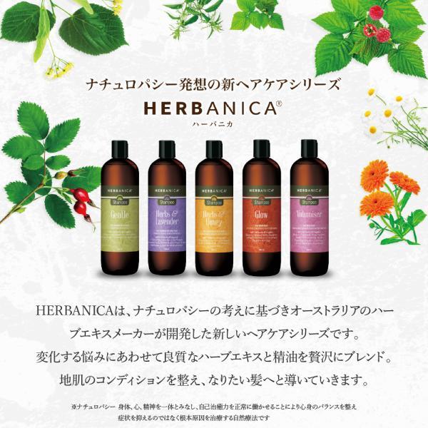 HERBANICA シャンプー 500ml ハーブ＆ラベンダー | ハーブ 髪の悩み 地肌 ケア ラベンダー オーストラリア 天然由来 シャンプー ヘアケア｜amasiastore｜03