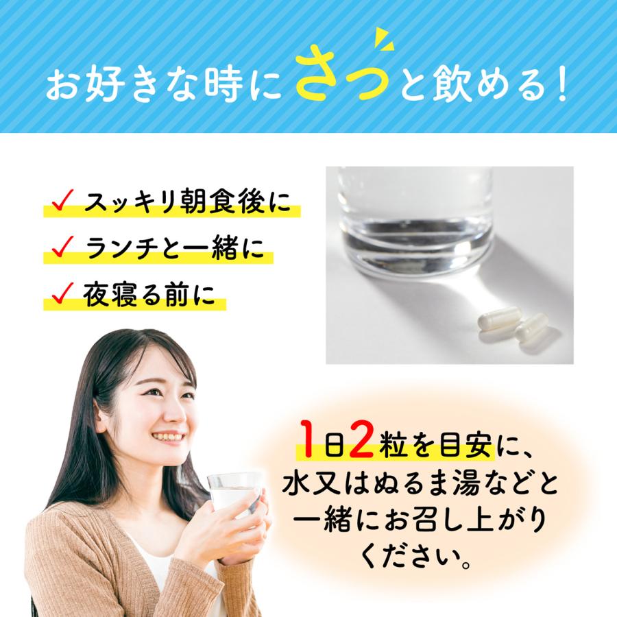有胞子性乳酸菌 乳酸菌 ビフィズス菌 サプリ 便通改善 機能性 有胞子性乳酸菌 乳酸菌 ビフィズス菌 サプリ 便通改善 機能性
