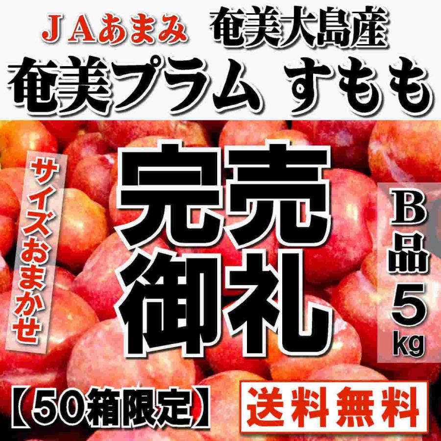奄美大島産 奄美プラム すもも ｂ品 ５kg 50箱限定 ｌ ２ｌ 約80 130個 送料込 Plum B 5k L 2l 奄美特産品ネット 通販 Yahoo ショッピング