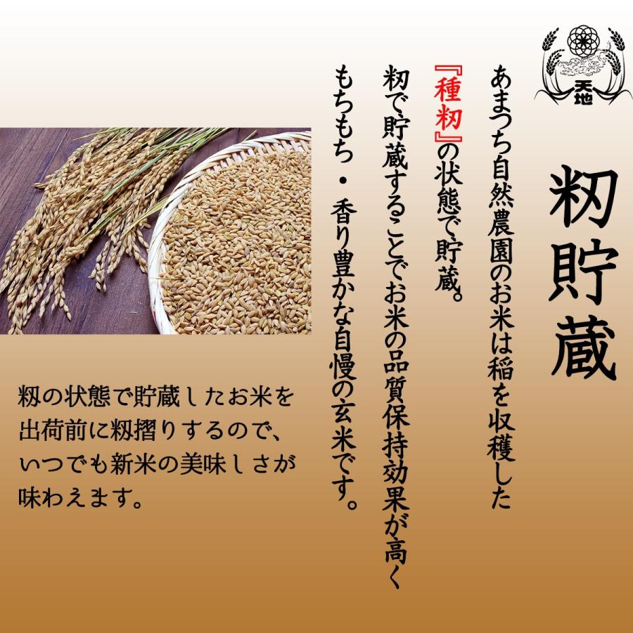 【新米】玄米 無農薬 2kg 無農薬玄米 免疫力 無農薬米 農家直販 化学肥料不使用 除草剤不使用 自然栽培米 発芽用玄米 京都産 オーガニック コシヒカリ｜amatsuchi-shop｜11