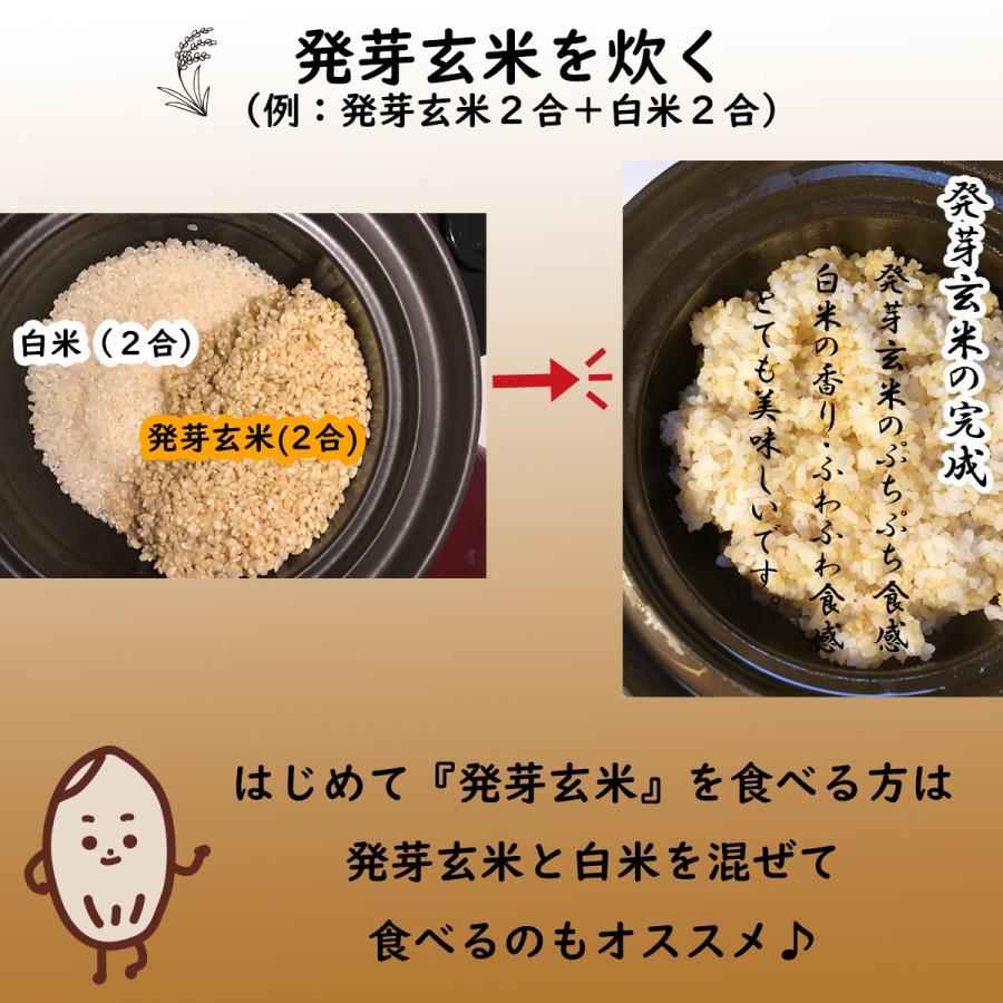 【新米】玄米 無農薬 2kg 無農薬玄米 免疫力 無農薬米 農家直販 化学肥料不使用 除草剤不使用 自然栽培米 発芽用玄米 京都産 オーガニック コシヒカリ｜amatsuchi-shop｜13