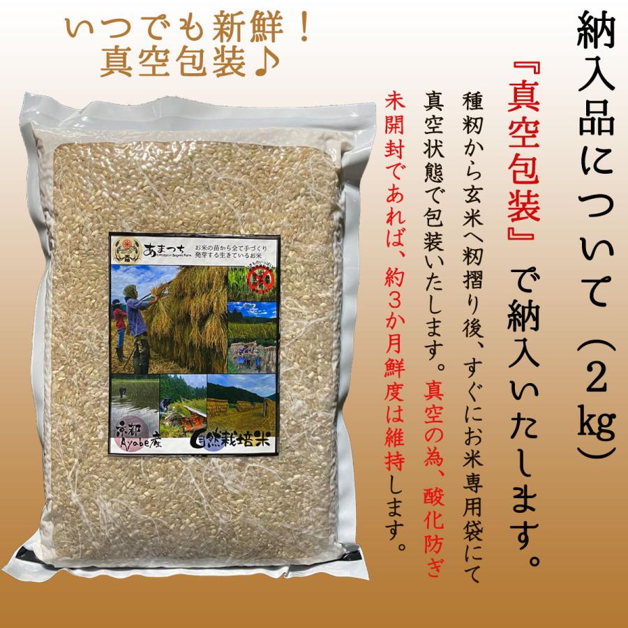 【新米】玄米 無農薬 2kg 無農薬玄米 免疫力 無農薬米 農家直販 化学肥料不使用 除草剤不使用 自然栽培米 発芽用玄米 京都産 オーガニック コシヒカリ｜amatsuchi-shop｜03