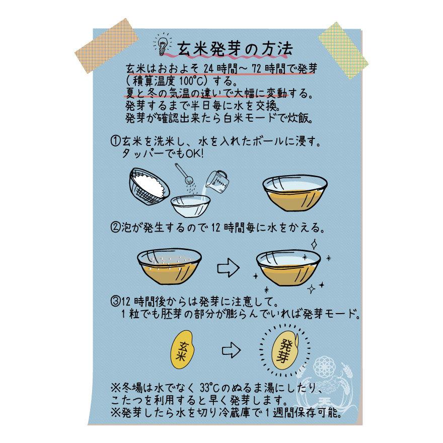 新米】玄米 無農薬 2kg 無農薬玄米 免疫力 無農薬米 農家直販 新米】玄米 無農薬 2kg 無農薬玄米 免疫力 無農薬米 農家直販