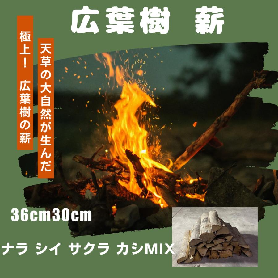 送料無料） 広葉樹MIX薪 長さ36cm 120サイズ(375×315×400）約16