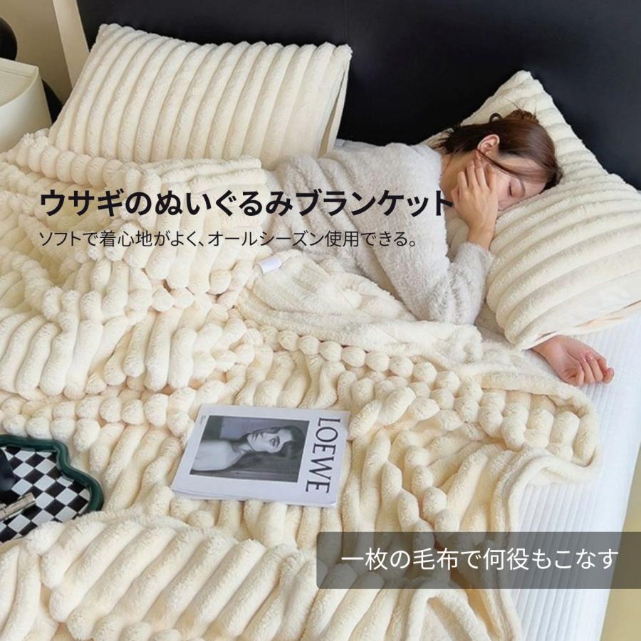 毛布 シングル シングルサイズ もうふ ダブル あったか とろとろ 冬用