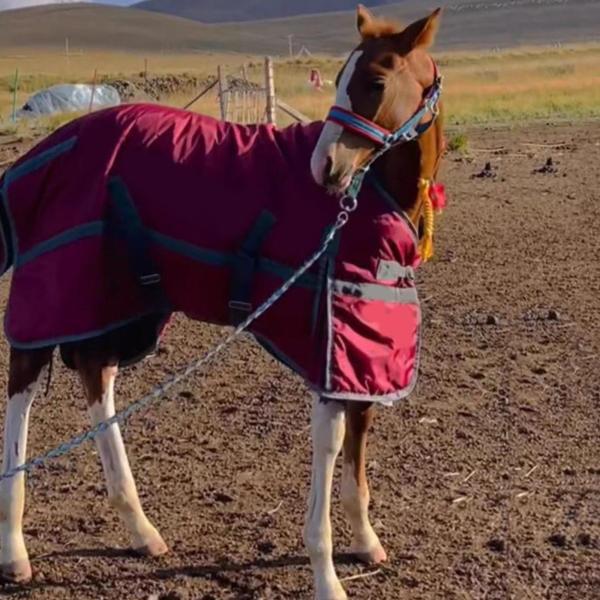 馬用ブランケット 乗馬用ウェア 暖かい子馬用ブランケット 防水 放牧用シート 90cm_7