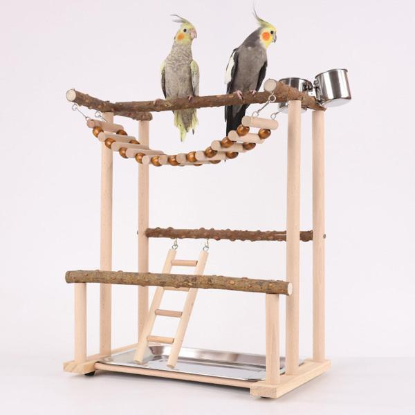 オウム鳥遊び場、オウムプレイスタンドアクティビティセンター、インコ
