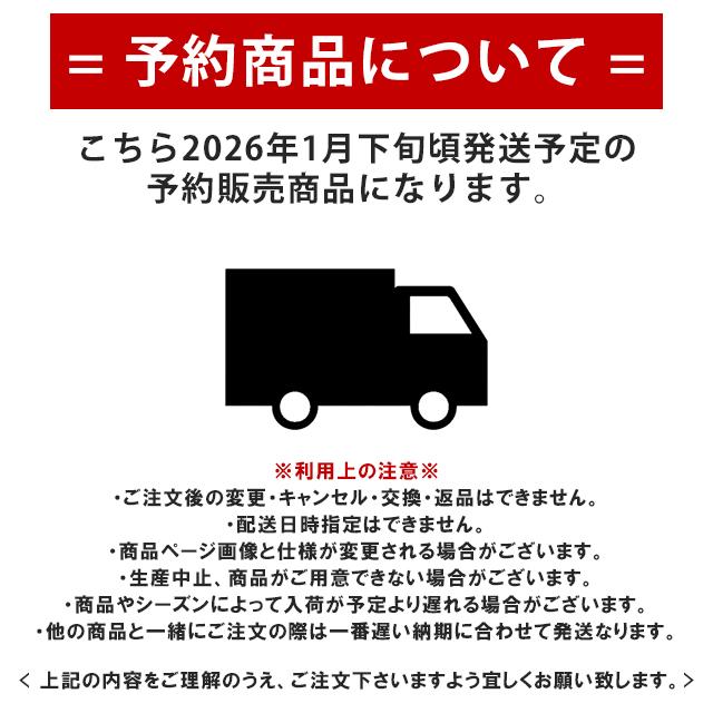 予約販売 2025 ワールドシリーズチャンピオンモデル ロサンゼルス