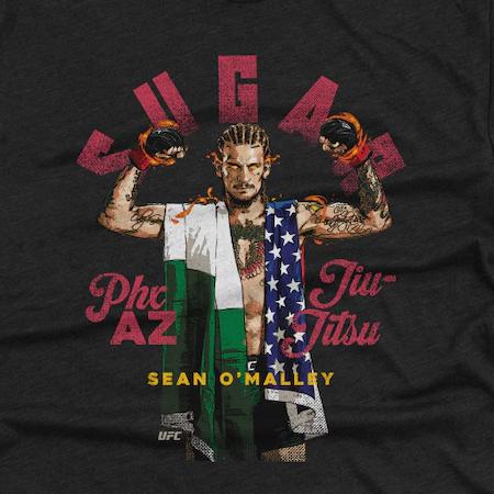 ショーン オマリーモデル 海外取寄 UFC Tシャツ 500 LEVEL TRI-BLEND T