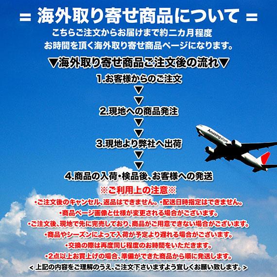 アンソニーエドワーズ　USA パリ五輪　Tシャツ 楽天市場】即日発送 アンソニー・エドワーズモデル ナイキ