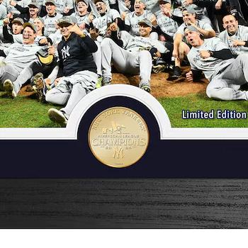 The Amazing Mets Champions ポスター額入り The Amazing Mets Champions ポスター額入り
