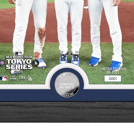 2025 東京シリーズ 大谷翔平・山本由伸・佐々木朗希モデル 海外取寄 額