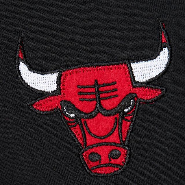 ミッチェル&ネス Tシャツ デニス ロッドマン モデル HEAVYWEIGHT