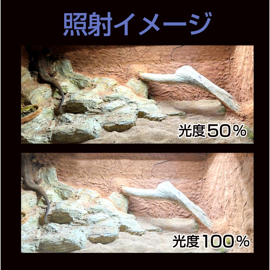 ソラリウム バータイプ 400 ソラリウム バータイプ 400 中古 Amazon.co