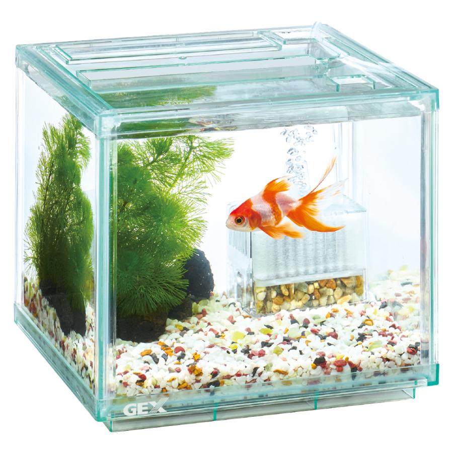 GEX 金魚元気 ぶくぶくクリア200CUBE 水槽サイズ：約幅20×奥行20×高さ