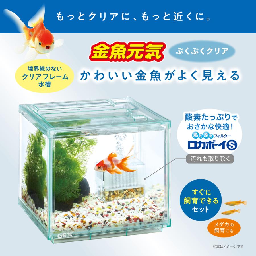 GEX 金魚元気 ぶくぶくクリア200CUBE 水槽サイズ：約幅20×奥行20×高さ
