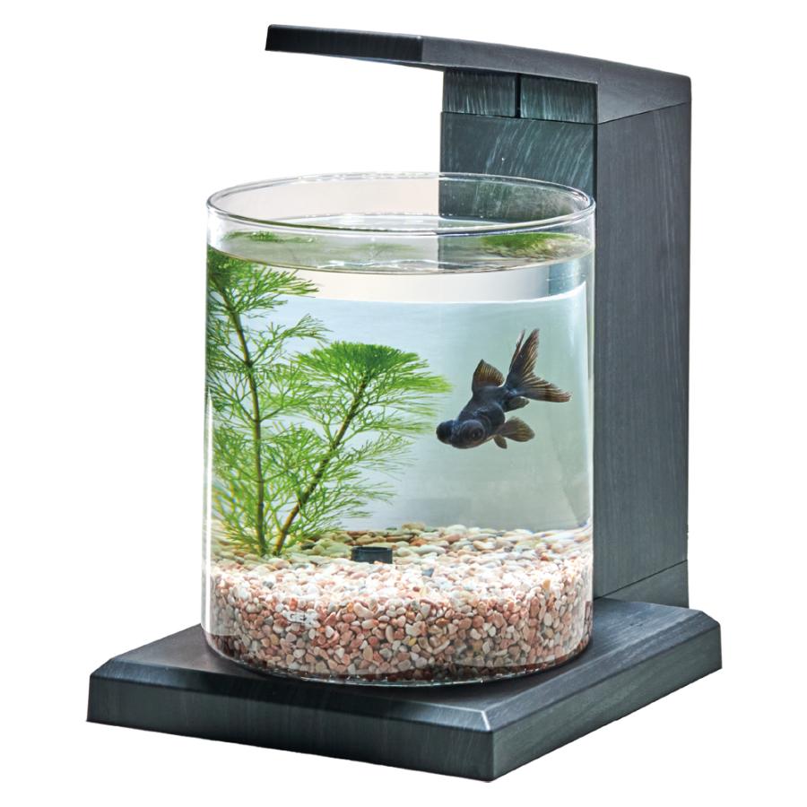 GEX GLASS AQUA PERCO チャコールブラック 円柱水槽セット GEX グラスアクア PERCO C-Charcoal Black オールインワン水槽ペルコ