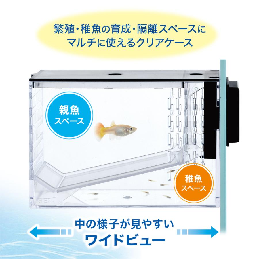GEX マルチクリアケースプロ 繁殖・稚魚の育成・隔離スペースに最適