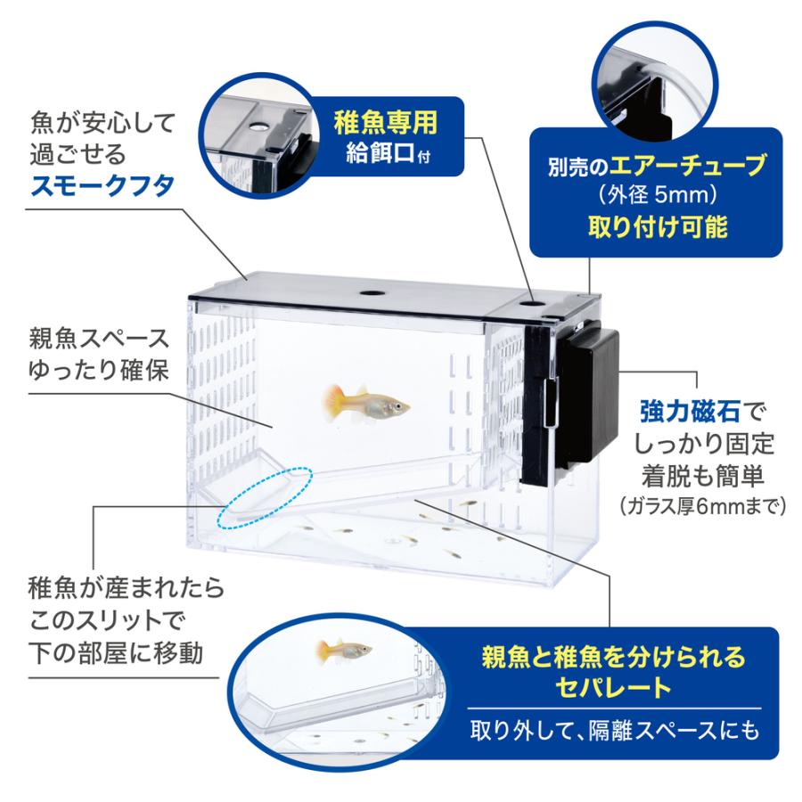 GEX マルチクリアケースプロ 繁殖・稚魚の育成・隔離スペースに最適