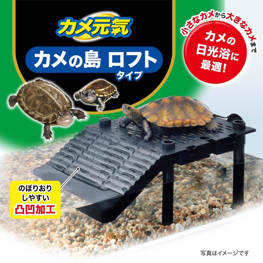 GEX カメ元気 カメの島ロフトタイプ : アマゾネスヤフー店 - 通販
