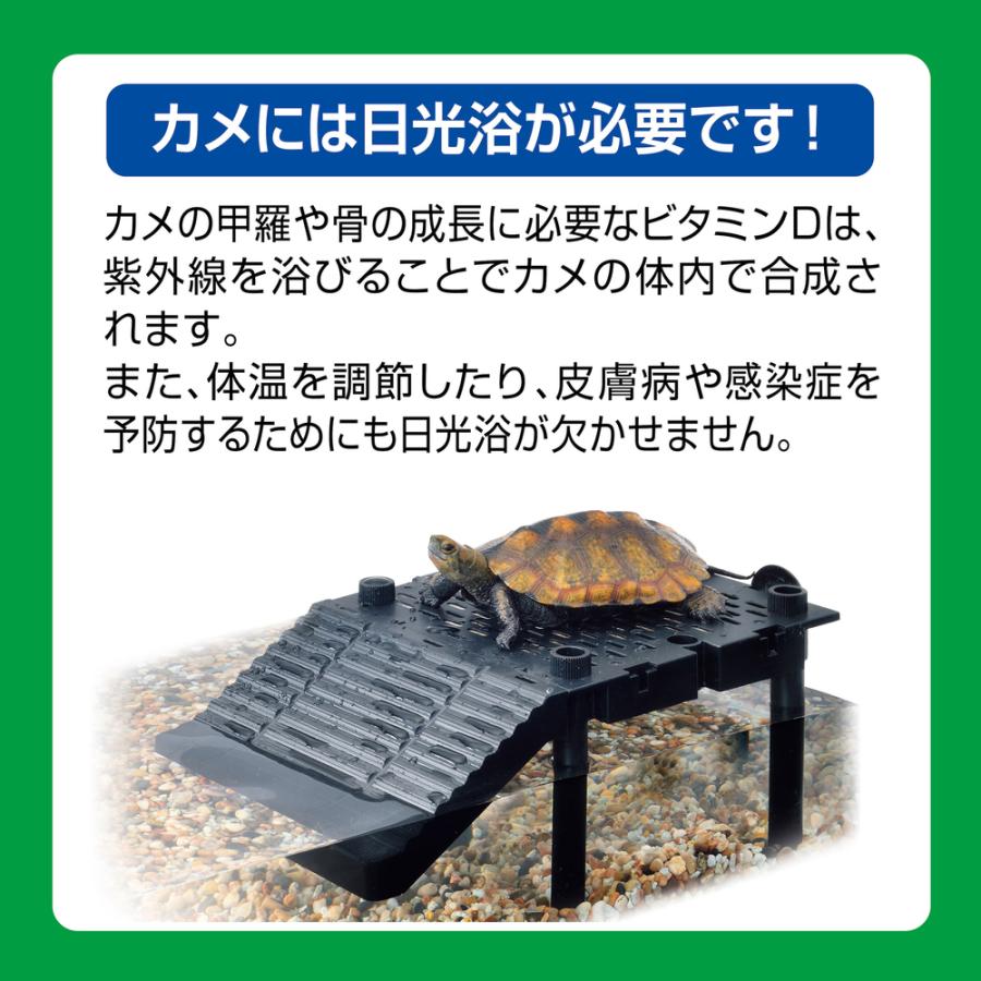 GEX カメ元気 カメの島ロフトタイプ : アマゾネスヤフー店 - 通販