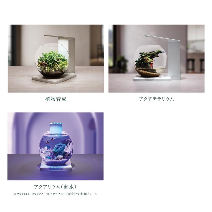 GEX グラスアクア DEKA PERCO DB-WH オールインワン水槽セット