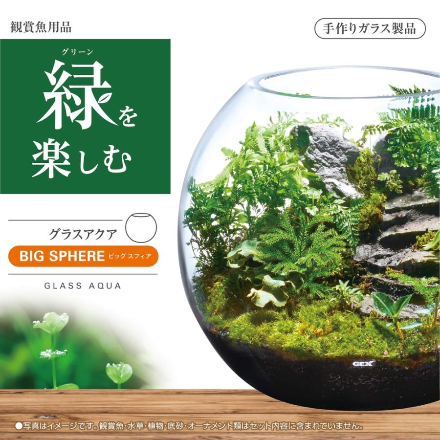 GEX グラスアクア ビッグスフィア : アマゾネスヤフー店 - 通販