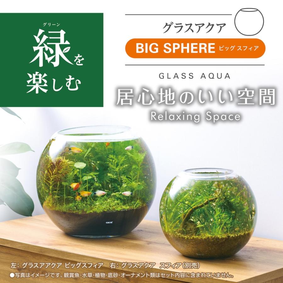 GEX グラスアクア ビッグスフィア : アマゾネスヤフー店 - 通販