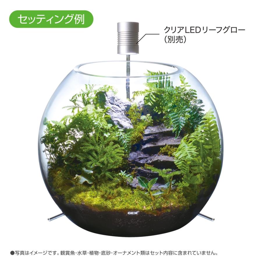 GEX グラスアクア ビッグスフィア : アマゾネスヤフー店 - 通販