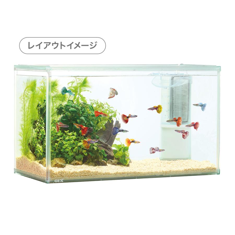 GEX アクアクリア L2 水中底面フィルター : アマゾネスヤフー店 - 通販