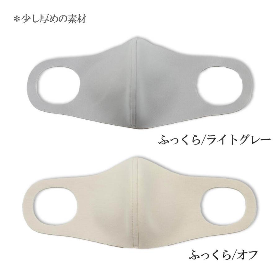 日本製洗えるマスク ノーズワイヤー入り 繰り返し洗える3Dマスク 2枚