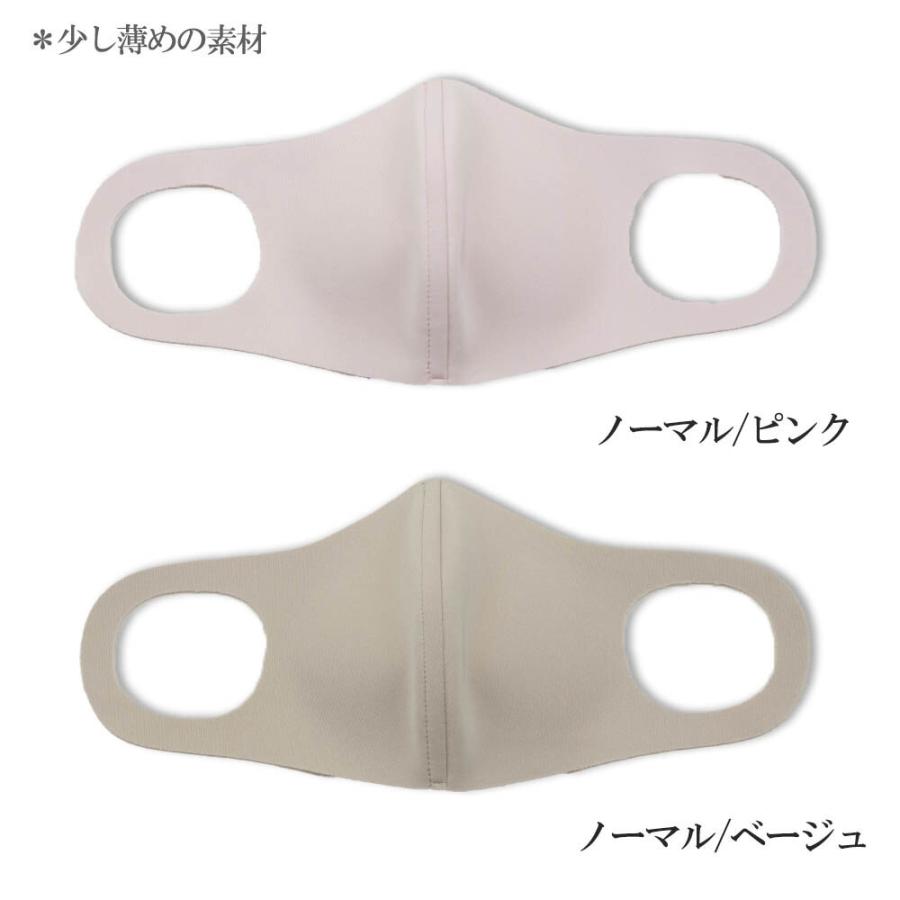 日本製洗えるマスク ノーズワイヤー入り 繰り返し洗える3Dマスク 2枚