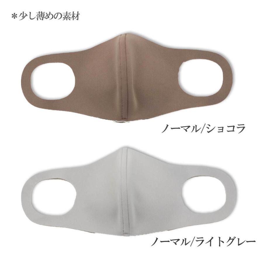 日本製洗えるマスク ノーズワイヤー入り 繰り返し洗える3Dマスク 2枚