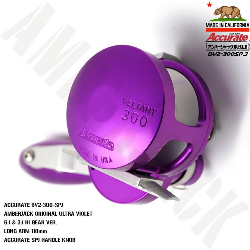 アキュレートバリアントBV2-300-SPJ コンプリートモデル アキュレートバリアントBV2-300-SPJ コンプリートモデル