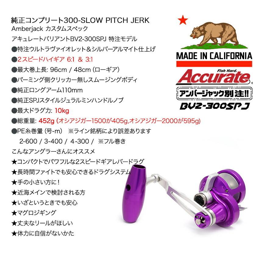 アキュレートバリアントBV2-300-SPJ コンプリートモデル アキュレートバリアントBV2-300-SPJ コンプリートモデル