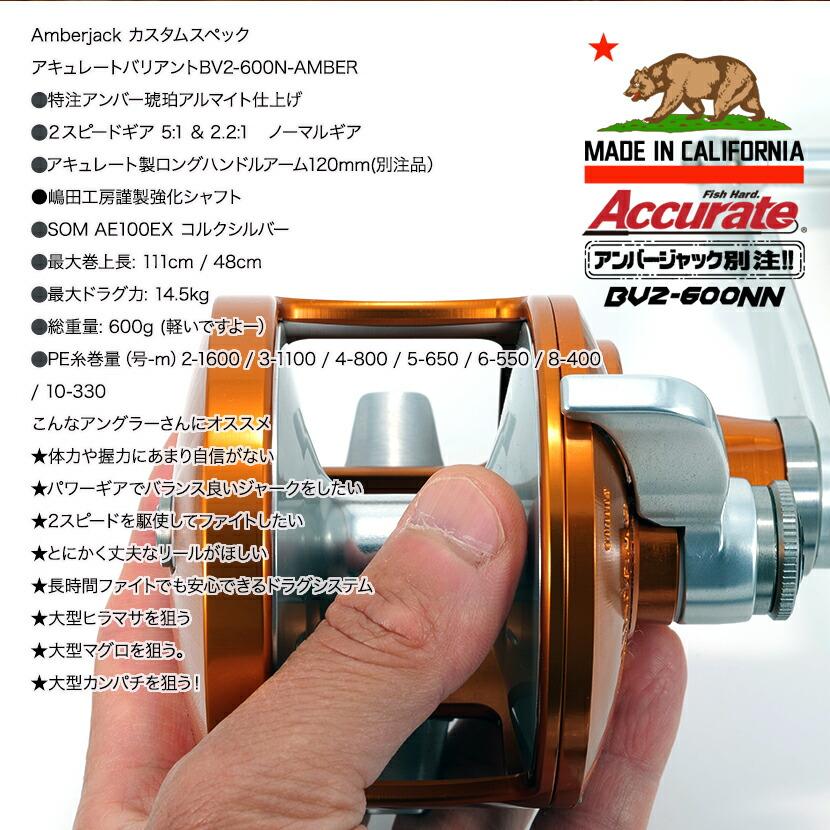 アキュレート バリアントBV2-600N アンバー ノーマルギア 別注 アキュレート バリアントBV2-600N アンバー ノーマルギア 別注