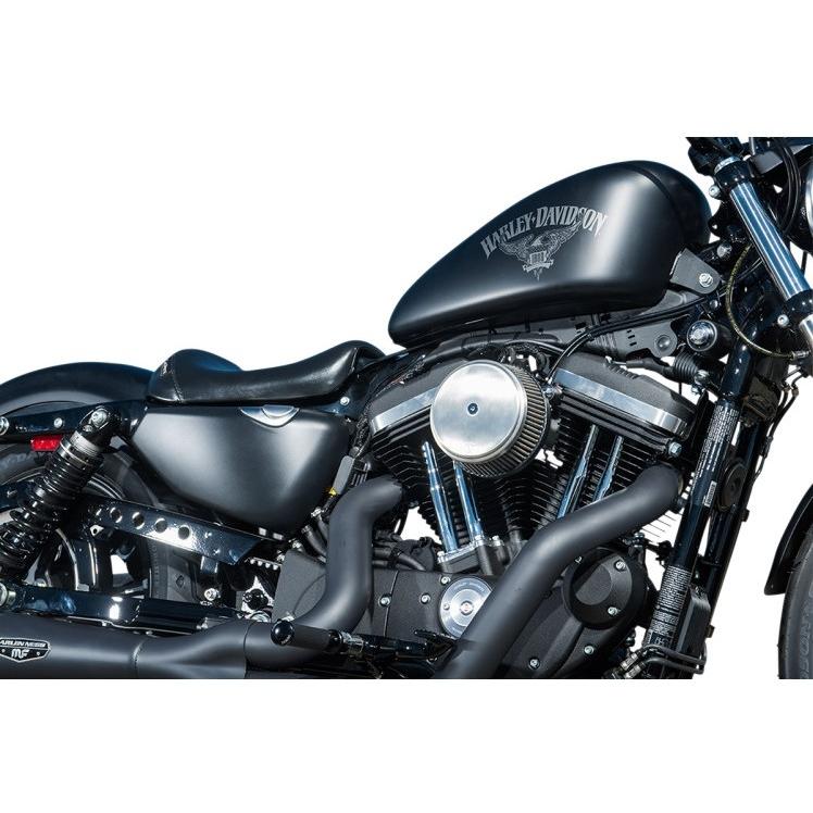 Harley Davidson（ハーレー・ダビッドソン） BIG SUCKER STAGE I