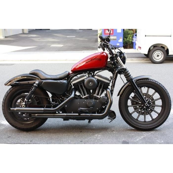 Harley Davidson（ハーレー・ダビッドソン） ブラスワイルドナロー