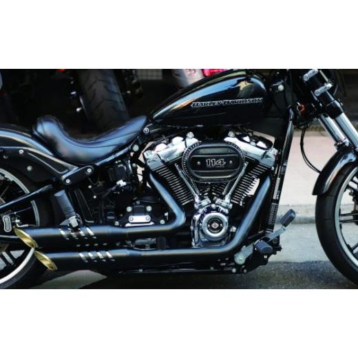 Harley Davidson（ハーレー・ダビッドソン） MOTOR STAGE ショート