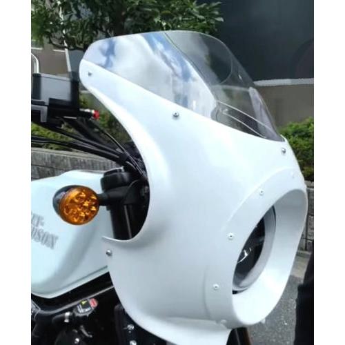 Harley Davidson（ハーレー・ダビッドソン） ビキニカウル X500